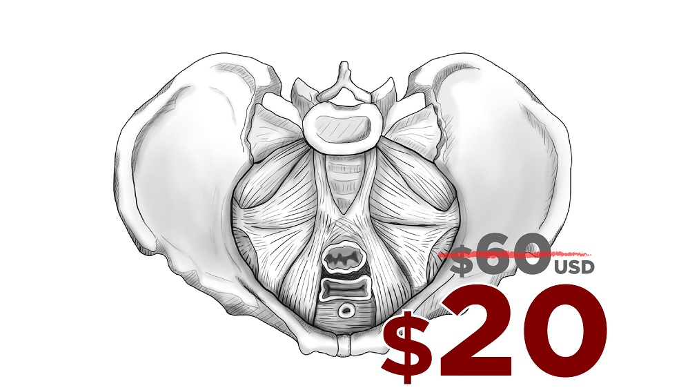 Prices for grayscale style of medical illustration by artomedics