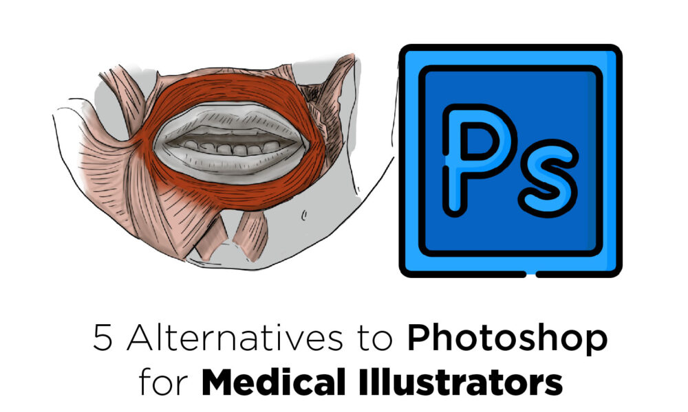 5 Alternatives to photoshop for medical illustrators