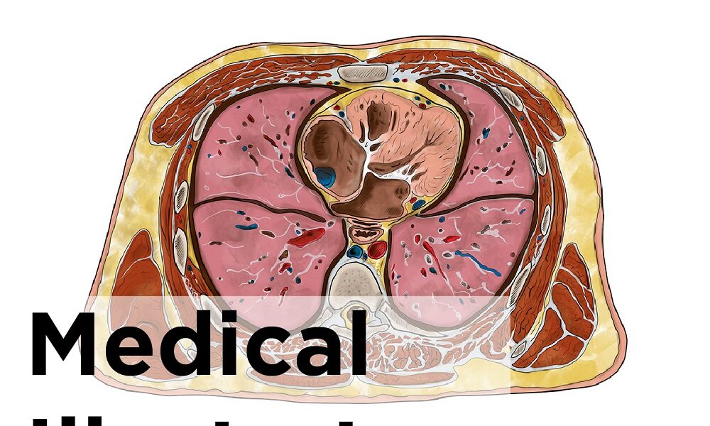 why hire a medical illustrator