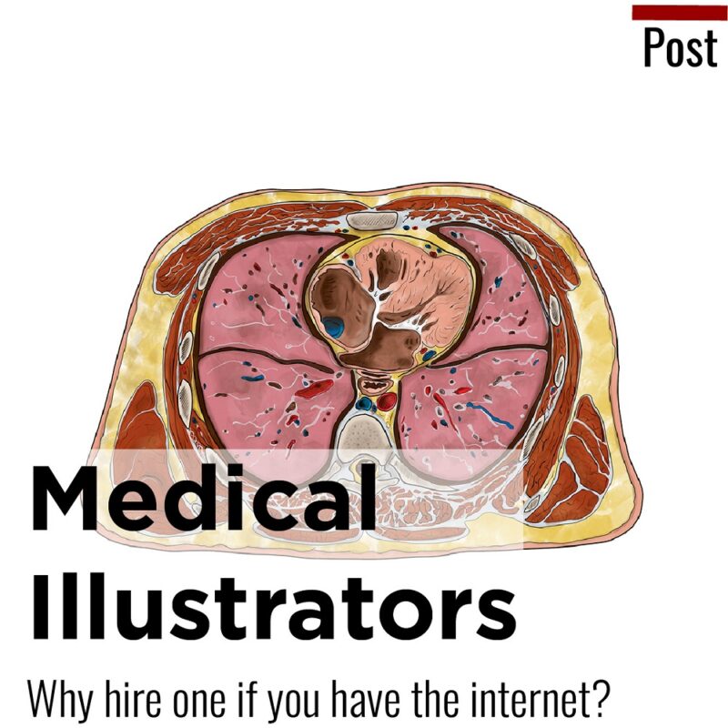 why hire a medical illustrator