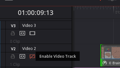 davinci resolve 17 Track options