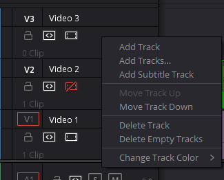 davinci resolve 17 video track options