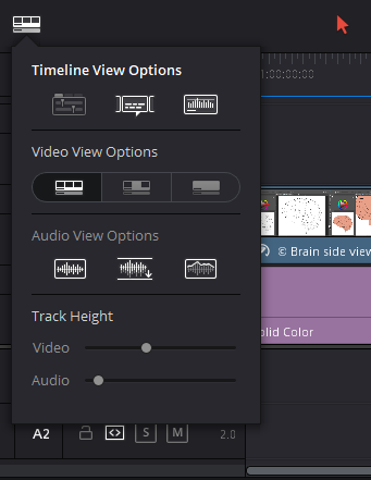 davinci resolve 17 Timeline View options